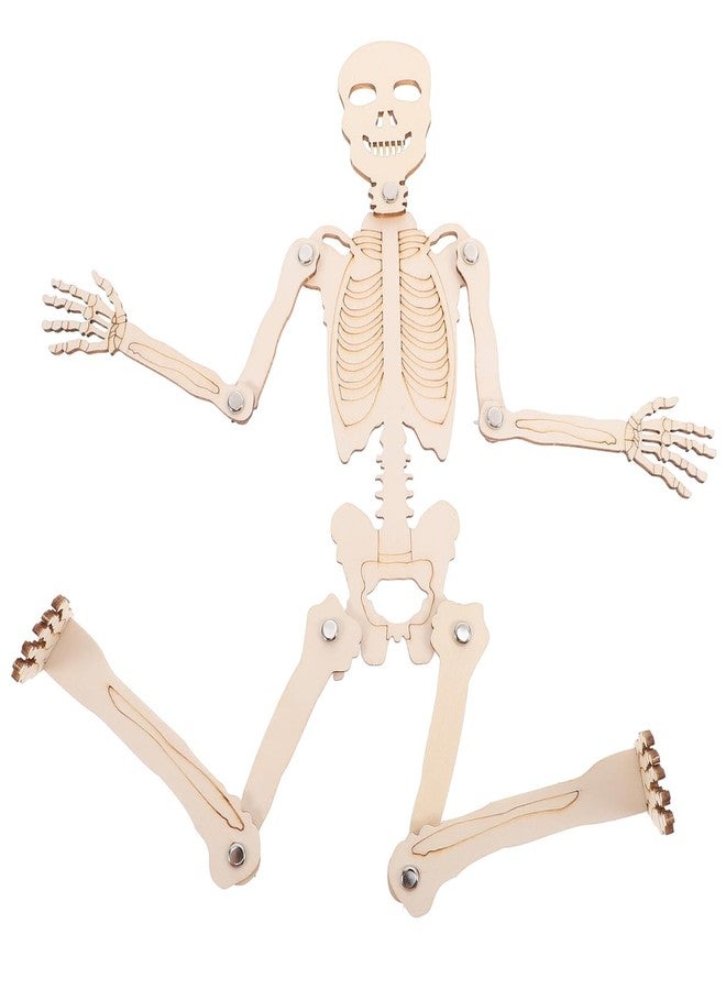 ياردوي مجموعة أدوات تعليمية لتجميع الهيكل العظمي الخشبي من ياردوي، نموذج تشريحي بشري للأطفال، بيج، 13.4 بوصة، أداة تعليمية للحرف اليدوية وتعلم الهيكل العظمي - Image 5